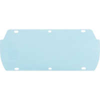 Visi&egrave;re Facetec en polycarbonate, Polycarbonate, Teinte Transparent R.M.G. Prévention