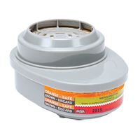 Advantage&reg; Respirator Cartridges, Gas/Vapour Cartridge, Mercury Vapour/Chlorine Gas/P100 Filter R.M.G. Prévention