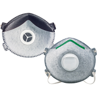 N1125 AG Particulate Respirators, N95, NIOSH Certified, Small R.M.G. Prévention