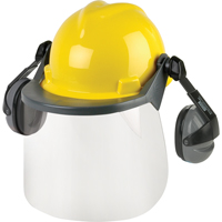 Protection de visage