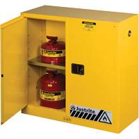 Sure-Grip&reg; Ex Flammable Storage Cabinets, 30 gal., 2 Door, 43" W x 44" H x 18" D R.M.G. Prévention