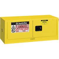 Safety Cabinets