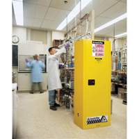 Armoire de s&eacute;curit&eacute; pour produits inflammables EX Slimline Sure-Grip , 22 gal., 1 Porte(s), 23,25" La x 65" h x 18" p R.M.G. Prévention