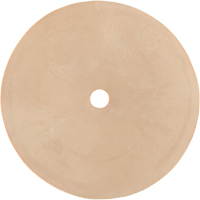 Survivair&reg; Inhalation Valve R.M.G. Prévention