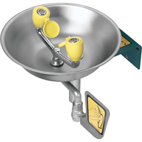 Poste de douche oculaire, Installation Montage mural, Bol Acier inoxydable R.M.G. Prévention