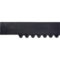 Rampe de bordure pour tapis R.M.G. Prévention