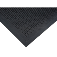 Tapis &agrave; profil bas, Caoutchouc, Grattoir Type, Motif Plein, 3' x 5', Noir R.M.G. Prévention
