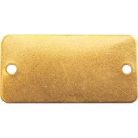 &eacute;tiquettes vierges, Laiton, 2" la x 1" h R.M.G. Prévention