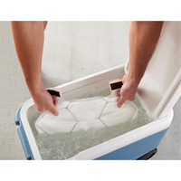 6215 Phase Change Packs for Cooling Vests R.M.G. Prévention