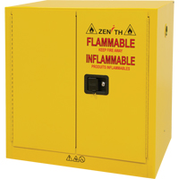 Flammable Storage Cabinet, 22 gal., 2 Door, 35" W x 35" H x 22" D R.M.G. Prévention