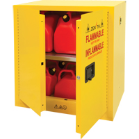 Flammable Storage Cabinet, 22 gal., 2 Door, 35" W x 35" H x 22" D R.M.G. Prévention
