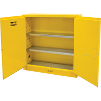 Flammable Storage Cabinet, 24 gal., 2 Door, 43" W x 44" H x 12" D R.M.G. Prévention