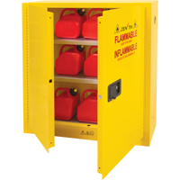 Flammable Storage Cabinet, 24 gal., 2 Door, 43" W x 44" H x 12" D R.M.G. Prévention
