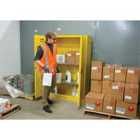 Flammable Storage Cabinet, 45 gal., 2 Door, 43" W x 65" H x 18" D R.M.G. Prévention