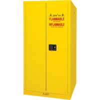 Armoire pour produits inflammables, 60 gal., 2 Porte(s), 34" La x 65" h x 34" p R.M.G. Prévention