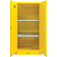 Armoire pour produits inflammables, 60 gal., 2 Porte(s), 34" La x 65" h x 34" p R.M.G. Prévention