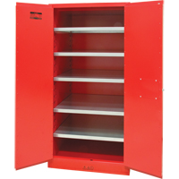 Armoire pour peintures et encres, 96 gal., 5 tablettes R.M.G. Prévention