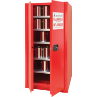 Armoire pour peintures et encres, 96 gal., 5 tablettes R.M.G. Prévention
