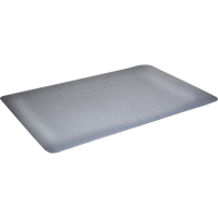 Tapis antimicrobiens WD Foodmaster, Lisse, 3' x 4' x 9/16", Gris, Mousse de vinyle R.M.G. Prévention