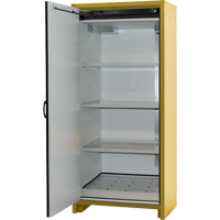 30-Minute EN Safety Storage Cabinet, 30 gal., 1 Door, 34.02" W x 76.65" H x 24.21" D R.M.G. Prévention