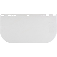 F20 Clear Flat Faceshield, Polycarbonate, Clear Tint R.M.G. Prévention