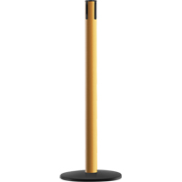 Syst&egrave;me Advance TensaBarrier - Poteau r&eacute;cepteur, Hauteur de 36", Jaune R.M.G. Prévention