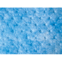 Balayage absorbant pour huile seulement R.M.G. Prévention