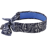 Chill-Its&reg; 6700CT Cooling Bandanas, Blue R.M.G. Prévention