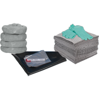 Trousse de rechange pour atelier, 30 gallons, Universel R.M.G. Prévention