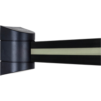 TensaBarrier&reg; Wall Mounted Units, Plastic, Screw Mount, 15', Black Tape R.M.G. Prévention