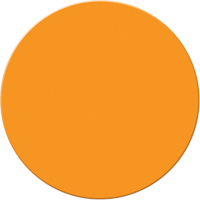 Marqueurs all&eacute;g&eacute;e/5S Armor Stripe, Cercle, 6" lo x 6" la, Orange, Plastique R.M.G. Prévention
