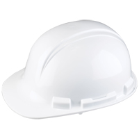 Dynamic Whistler Hardhat, CSA Type 1, Pinlock Suspension R.M.G. Prévention