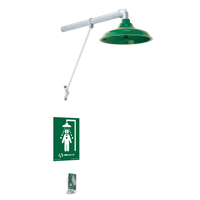 Freeze Protected Drench Shower, Wall-Mount R.M.G. Prévention