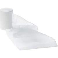 Dynamic Gauze Bandages, Roll, 15' L x 1" W, Sterile, Medical Device Class 1 R.M.G. Prévention
