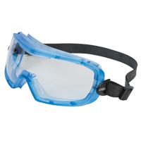 Uvex&reg; Entity Safety Goggles, Clear Lens, Anti-Fog, Indirect Vent R.M.G. Prévention