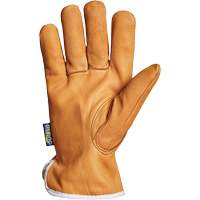 Gants de conducteur Endura, Petit, Paume en Cuir fleur de ch&egrave;vre, Thinsulate R.M.G. Prévention