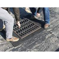 Storm Sentinel&reg; Catch Basin Insert, Sediment, 48" L x 36" W R.M.G. Prévention