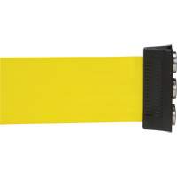 Wall Mount Barrier with Magnetic Tape, Steel, Screw Mount, 12', Yellow Tape R.M.G. Prévention