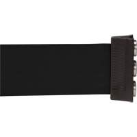 Wall Mount Barrier with Magnetic Tape, Steel, Screw Mount, 12', Black Tape R.M.G. Prévention