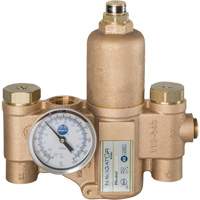 Robinet mitigeur thermostatique pour luminaires durgence Navigator EFX20, 30 gal./min R.M.G. Prévention
