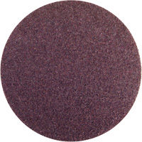 Rapid Prep Non-Woven Abrasive Disc, 5" Dia., Fine Grit, Aluminum Oxide R.M.G. Prévention