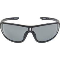 Z3000 Series Safety Glasses, Grey/Smoke Lens, Anti-Fog/Anti-Scratch, ANSI Z87+/Meets/Exceeds CSA Z94.3 R.M.G. Prévention