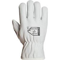 Gants de conducteur doubl&eacute;s pour l'hiver Endura, T-Grand, Paume en Cuir fleur de ch&egrave;vre, Thinsulate R.M.G. Prévention