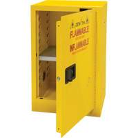 Flammable Storage Cabinet, 12 gal., 1 Door, 23" W x 35" H x 18" D R.M.G. Prévention