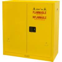 Flammable Storage Cabinet, 30 gal., 2 Door, 43" W x 44" H x 18" D R.M.G. Prévention