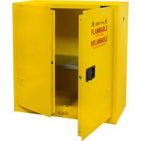 Flammable Storage Cabinet, 30 gal., 2 Door, 43" W x 44" H x 18" D R.M.G. Prévention