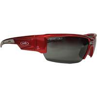 Hartley Safety Glasses, Grey Lens, Polarized, Meets/Exceeds CSA Z94.3 R.M.G. Prévention