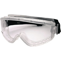 Cambridge Safety Goggles, Clear Lens, Anti-Fog, Indirect Vent R.M.G. Prévention