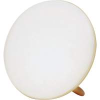 Lampe &agrave; luminoth&eacute;rapie pour le traitement de la d&eacute;pression saisonni&egrave;re R.M.G. Prévention