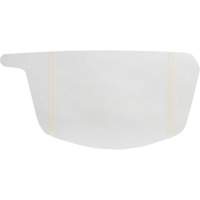 Primair&reg; 900 Series Peel-Off Visor Cover R.M.G. Prévention
